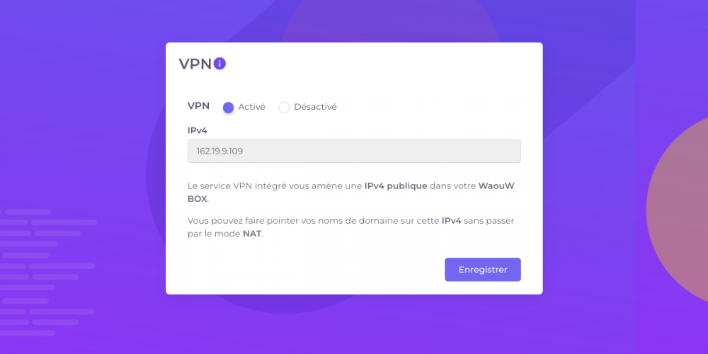 Faites pointer vos noms de domaines vers votre IP V4